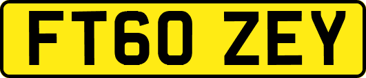 FT60ZEY