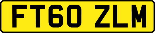 FT60ZLM