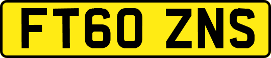 FT60ZNS
