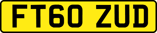 FT60ZUD