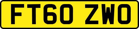 FT60ZWO