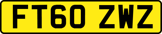 FT60ZWZ