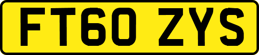 FT60ZYS