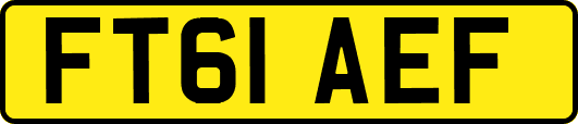 FT61AEF