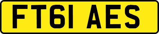 FT61AES