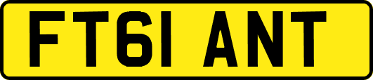 FT61ANT