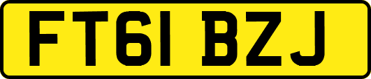 FT61BZJ