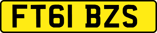 FT61BZS