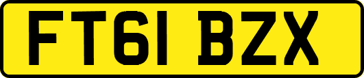FT61BZX