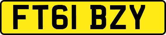 FT61BZY