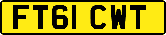 FT61CWT