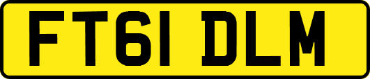 FT61DLM