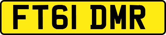 FT61DMR