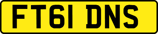 FT61DNS