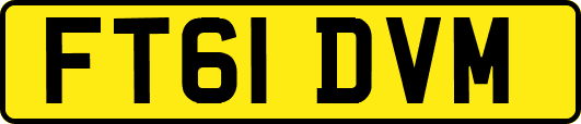 FT61DVM