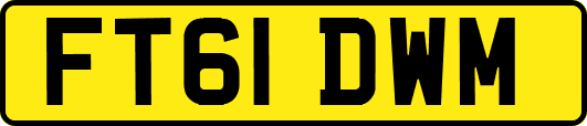 FT61DWM