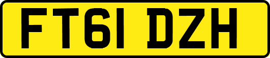 FT61DZH