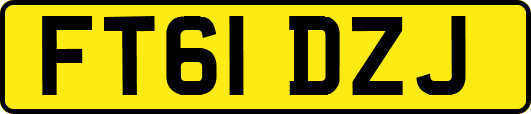FT61DZJ