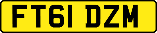 FT61DZM