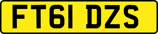FT61DZS