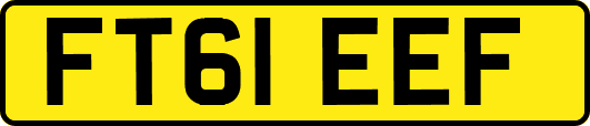 FT61EEF