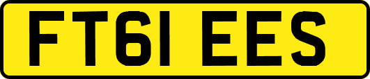FT61EES