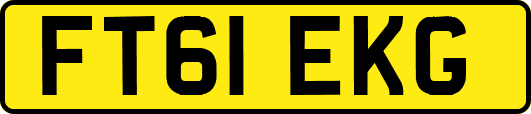 FT61EKG