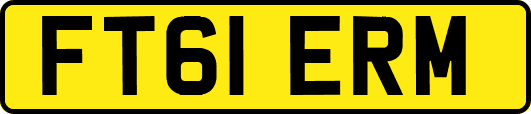 FT61ERM