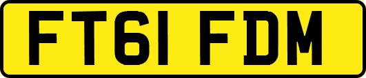 FT61FDM
