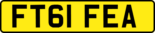 FT61FEA