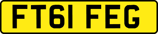 FT61FEG