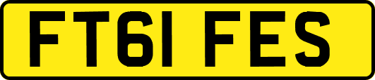 FT61FES
