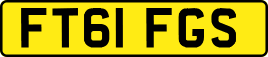 FT61FGS