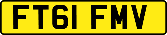 FT61FMV