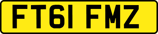 FT61FMZ