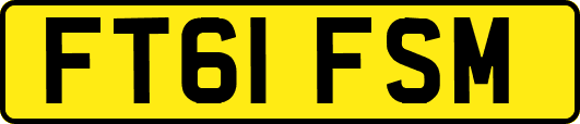 FT61FSM