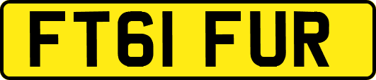 FT61FUR