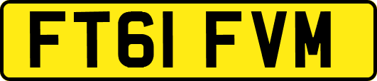 FT61FVM
