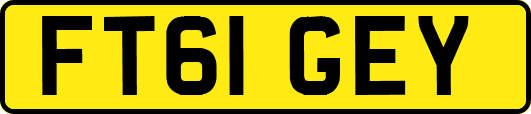 FT61GEY