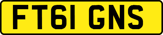 FT61GNS