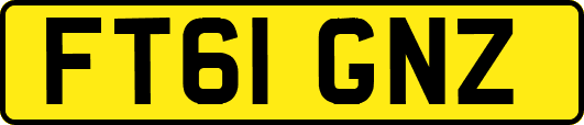 FT61GNZ