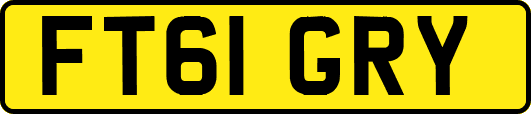 FT61GRY