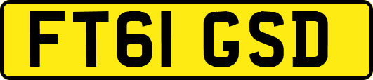 FT61GSD