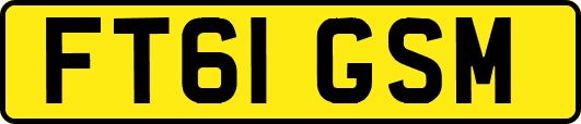 FT61GSM