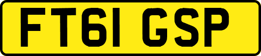 FT61GSP