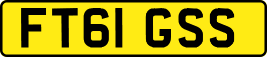 FT61GSS