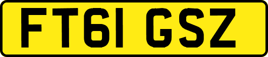 FT61GSZ
