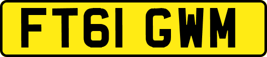 FT61GWM