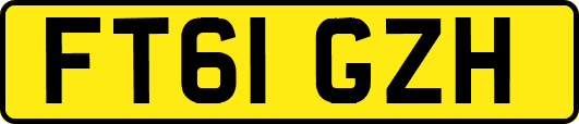 FT61GZH