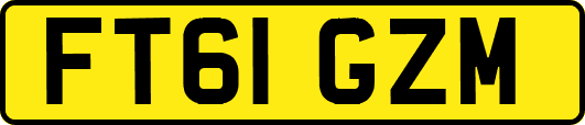 FT61GZM